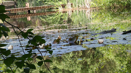 Park «West Hylebos Wetlands Park», reviews and photos, 411 S 348th St, Federal Way, WA 98003, USA
