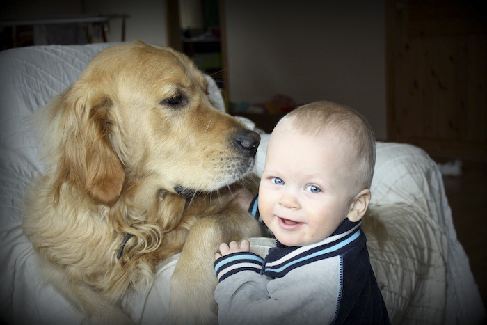 kids n pets