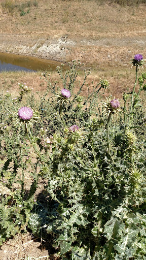 Nature Preserve «Brushy Peak Regional Preserve», reviews and photos, Laughlin Rd, Livermore, CA 94551, USA