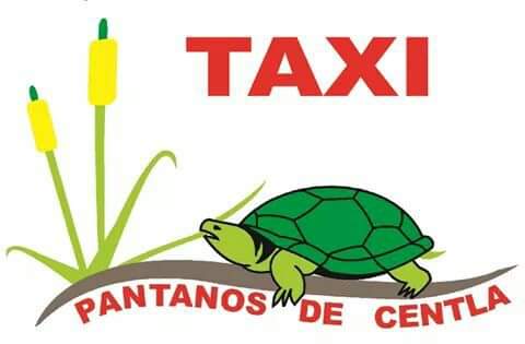 Union De Taxis Pantanos De Centla, Francisco I. Madero 304, Centro, 86750 Frontera, TAB, México, Servicio de taxi | TAB