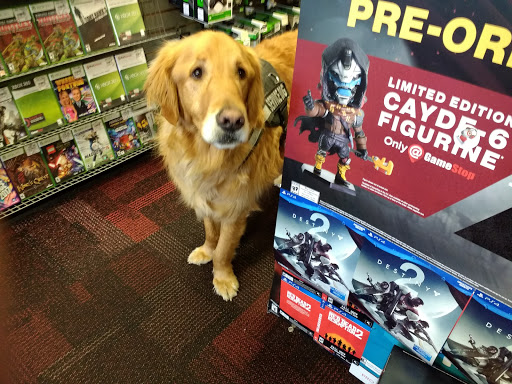 Video Game Store «GameStop», reviews and photos, 3702 River Point Pkwy, Englewood, CO 80110, USA