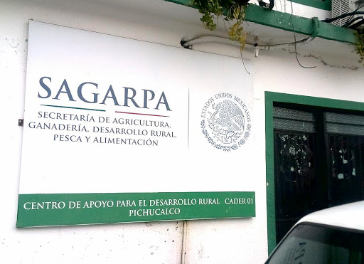 SAGARPA, DDR 05, CADER 01, Calle Vicente Guerrero & Allende, Centro, 29520 Pichucalco, Chis., México, Oficina del gobierno federal | CHIS