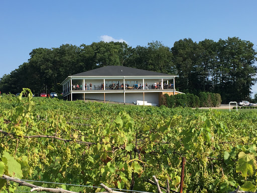 Vineyard «Blue Ridge Estate Vineyard & Winery», reviews and photos, 239 Blue Ridge Rd, Saylorsburg, PA 18353, USA