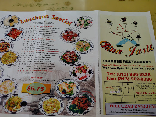 Chinese Restaurant «China Taste», reviews and photos, 3967 Van Dyke Rd, Lutz, FL 33558, USA