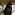 sonam