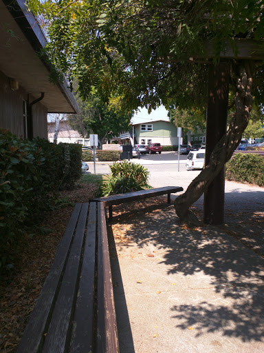 Park «Cedar Rose Park», reviews and photos, 1300 Rose St, Berkeley, CA 94702, USA