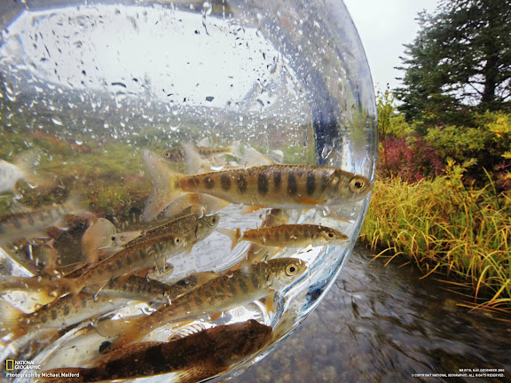  National Geographic