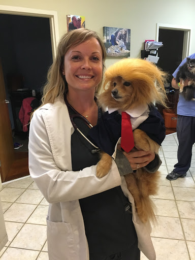 Veterinarian «Carolinas Veterinary Medical Hospital», reviews and photos