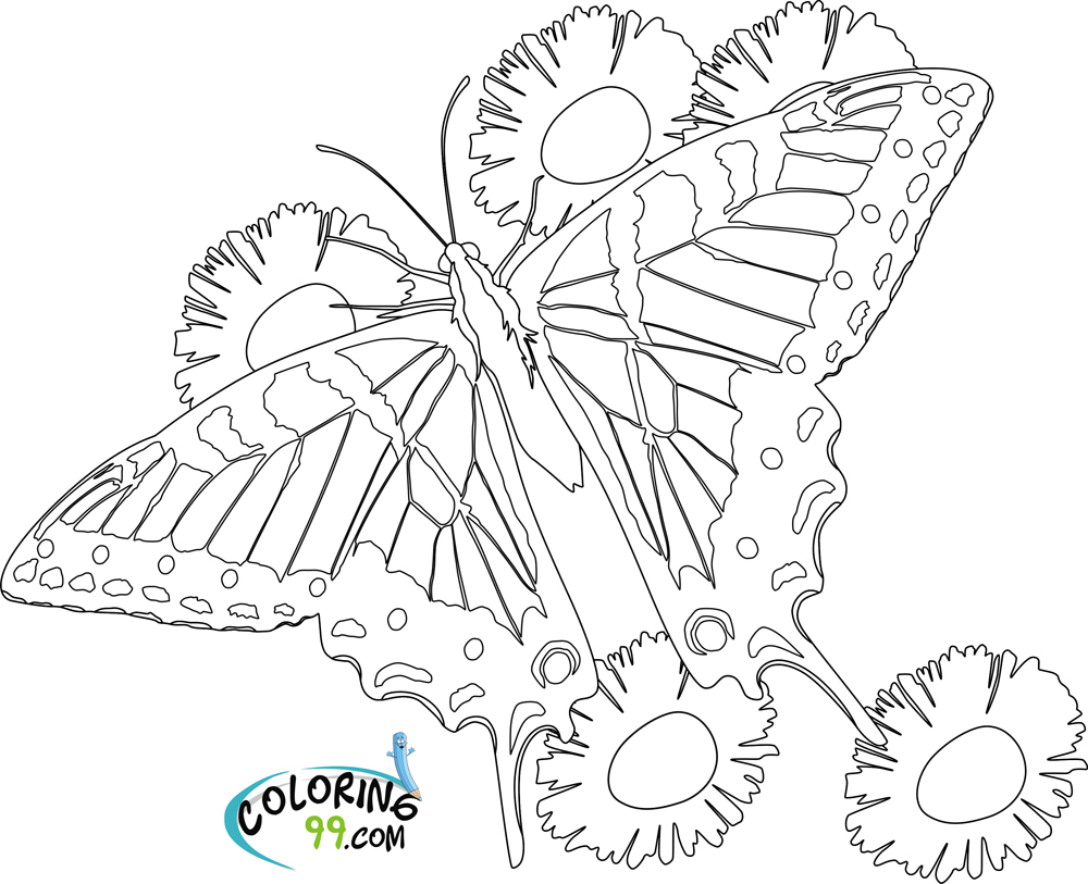 Butterflies coloring pages printable games - flowers and butterflies coloring pages