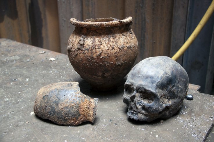 Solving the mystery of the Roman Walbrook skulls Solving the mystery of the Roman Walbrook skulls