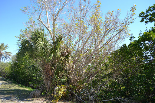 Wildlife Refuge «Ding Darling Wildlife Refuge», reviews and photos, 1 Wildlife Dr, Sanibel, FL 33957, USA