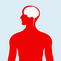 Post image for What You Didn’t Know About Strokes