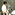 นิพนธ์