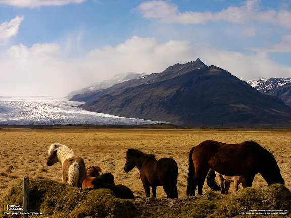  National Geographic