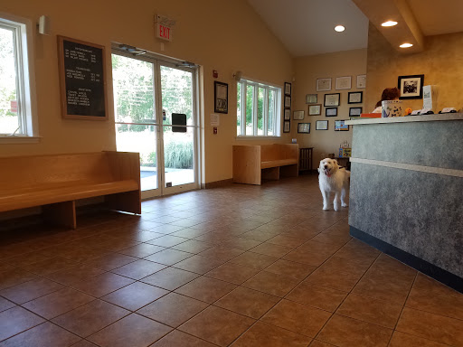 Veterinarian «Animal Clinic at Thorndale, p.c.», reviews and photos