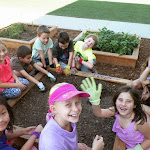 Many of our campuses have gardening spots, where our elementary children plant their own vegetables, herbs and flowering plants. This integrates the study of botany into real life.