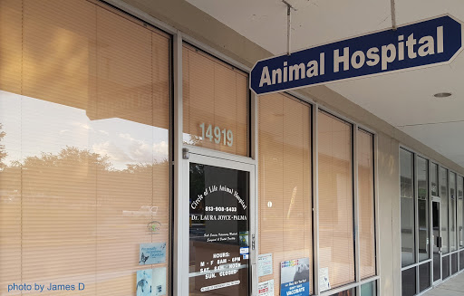 Veterinarian «Circle of Life Animal Hospital», reviews and photos