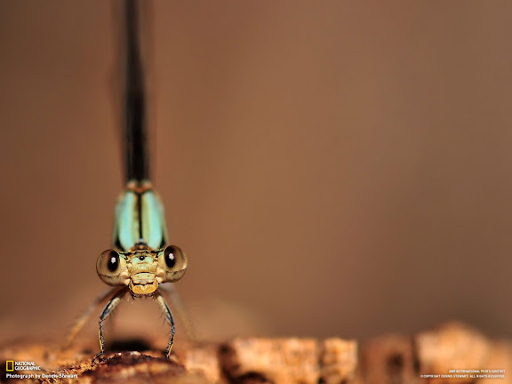  National Geographic