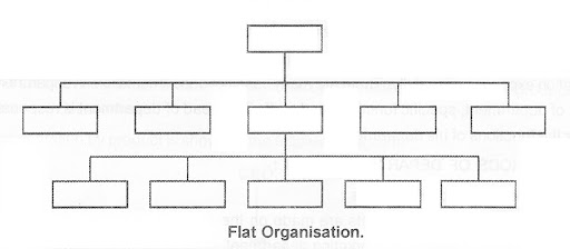 Flat Structure Org Chart