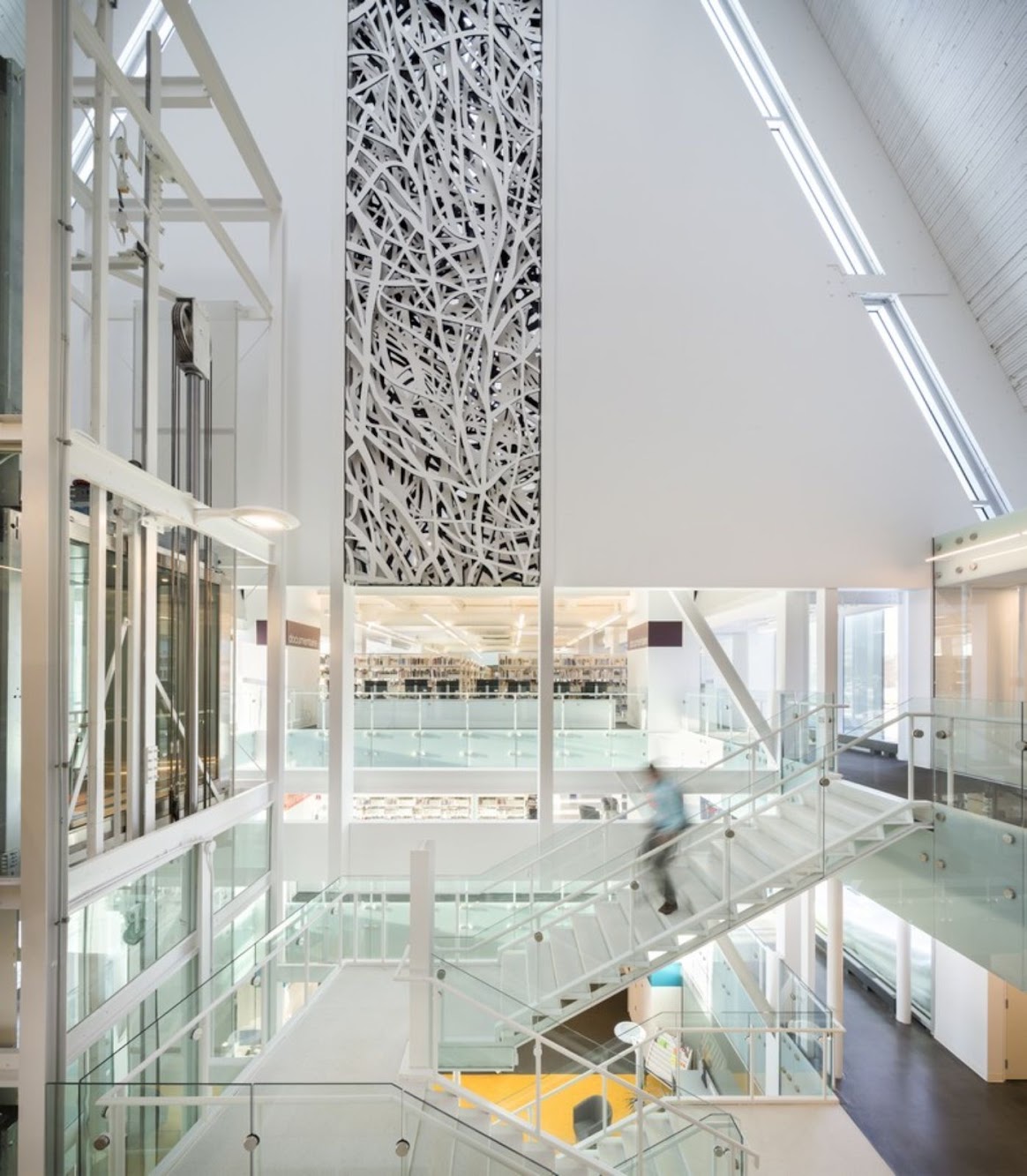 Monique Corriveau Library by Dan Hanganu and Clc
