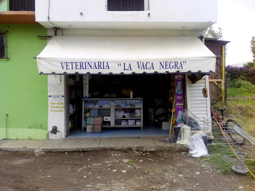 veterinaria la vaca negra, Niños Heroes, Zona Centro, 36900 Pénjamo, Gto., México, Cuidados veterinarios | GTO