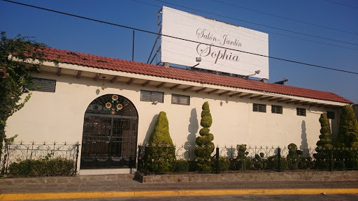 Salon Jardin Sophia, 51350, Pastor Velázquez 228, San Cristobal Tecolit, San Miguel Zinacantepec, Méx., México, Recinto para eventos | EDOMEX
