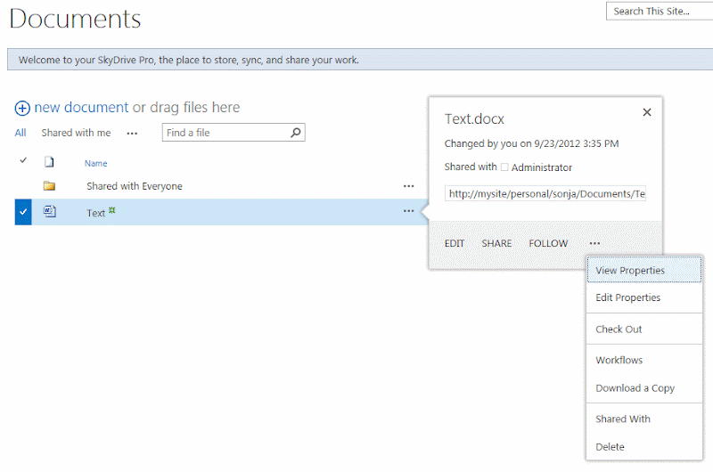 SharePoint 2013 SkyDrive