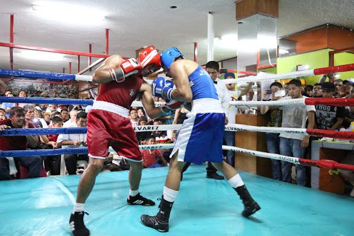 Escuela de Box Alvarez, Calle C. 7 646, Esperanza, 57800 Nezahualcóyotl, Méx., México, Escuela de boxeo | EDOMEX