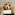 I LOVE CATS