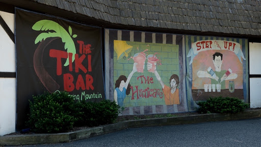 Restaurant «Tiki Bar At Spring Mountain», reviews and photos, 757 Spring Mt Rd, Schwenksville, PA 19473, USA