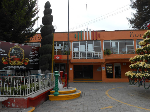 Palacio Municipal El Carmen Tequexquitla, Calle Cuauhtémoc Sur S/N, Centro, 90570 Tlax., México, Oficina de gobierno local | TLAX