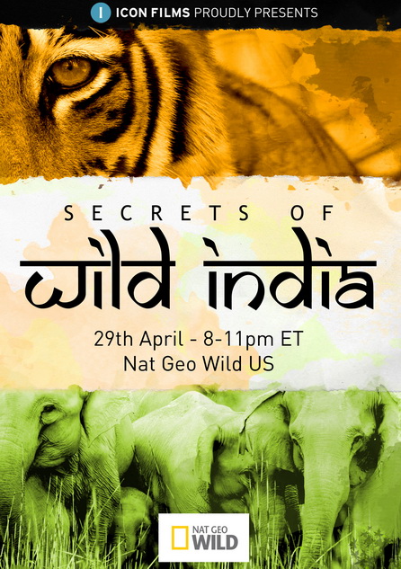 Dzikie Indie / Secrets of Wild India (2011) PL.TVRip.XviD / Lektor PL Dzikie Indie / Secrets of Wild India (2011) PL.TVRip.XviD / Lektor PL