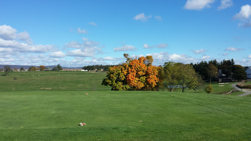 Public Golf Course «Olde Homestead Golf Club», reviews and photos, 6598 PA-309, New Tripoli, PA 18066, USA