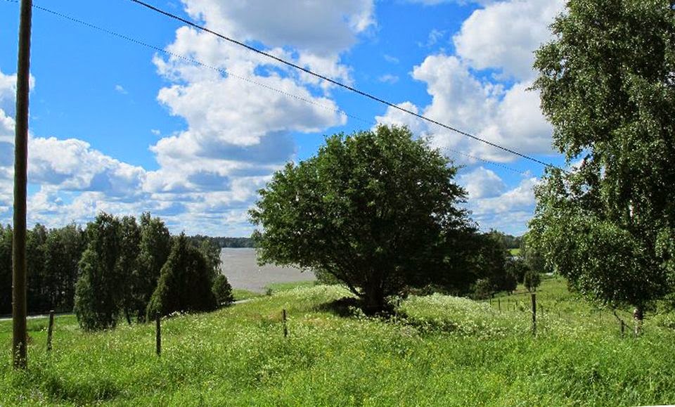 "Pot hunters" targeting archaeological sites in Finland "Pot hunters" targeting archaeological sites in Finland