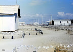 Kliknij by wejść http://lh5.googleusercontent.com/-X8bQbivxNa8/T7ZhdpOEcJI/AAAAAAAAJ4s/3iHaw0CNuok/s144/saperski-345-66.jpg