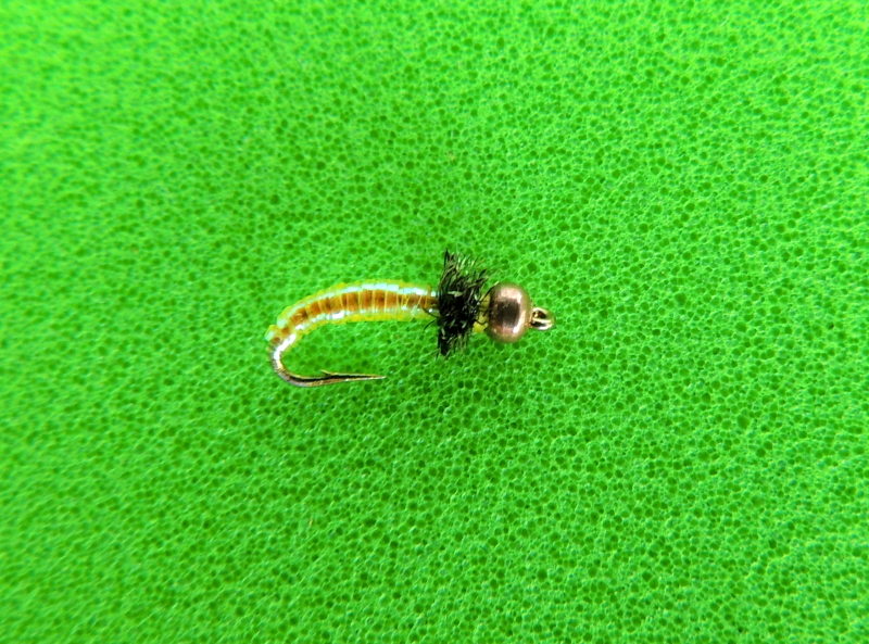 Midge%25202.JPG