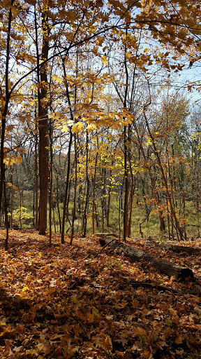 Nature Preserve «Sidney Yates Flatwoods», reviews and photos, N Caldwell Ave, Chicago, IL 60646, USA