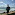 Mare