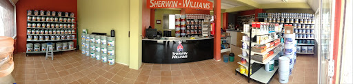 Sherwin Williams, Carretera México Veracruz 52, Centro, 73996 Tepeyehualco de Hidalgo, Ver., México, Tienda de pinturas | VER
