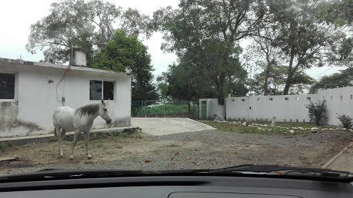 Crematorio para Mascotas, Carretera federal Veracruz Córdoba kilometro 95 comunidad la Esmeralda, Veracruz entre el Copital y la Candelaria, 94270 Medellín de bravo, Ver., México, Servicio de cremación | VER