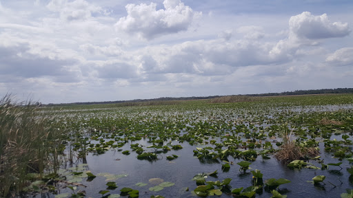 Tourist Attraction «Marsh Landing Adventures / Orlando Airboat Tours», reviews and photos, 2830 Neptune Rd, Kissimmee, FL 34744, USA