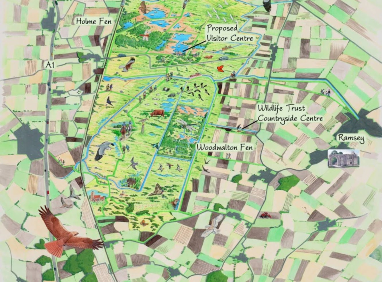 08 Great Fen Visitor Centre wins Shiro studio
