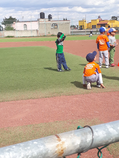 Guarida Linces, A. López Mateos s/n, Santiago Momoxpan, Rafael Ávila Camacho (Manantiales, 72700 Pue., México, Club de béisbol | PUE