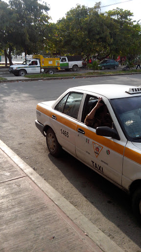 Servicio de Radio Taxi Chetumal Quintana Roo, Salvador Novo s/n, Chetumal Centro, 77000 Chetumal, Q.R., México, Parada de taxis | QROO