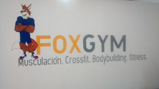 Fox Gym Tamazula, Guerrero 89, San José del Platanar, 49650 Tamazula de Gordiano, Jal., México, Programa de acondicionamiento físico | JAL