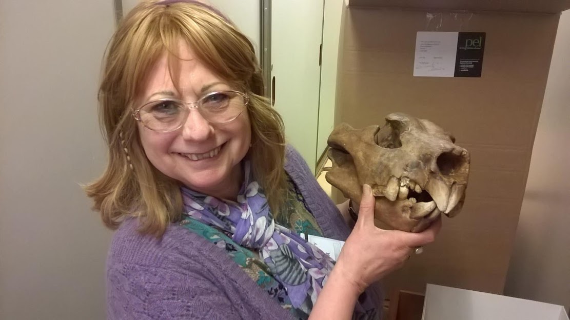 Elbows of extinct marsupial lion suggest unique hunting style Elbows of extinct marsupial lion suggest unique hunting style