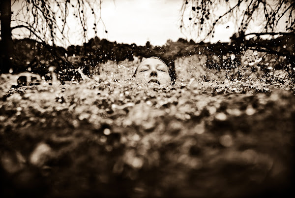 Neil Craver, Omni-Phantasmic Photography