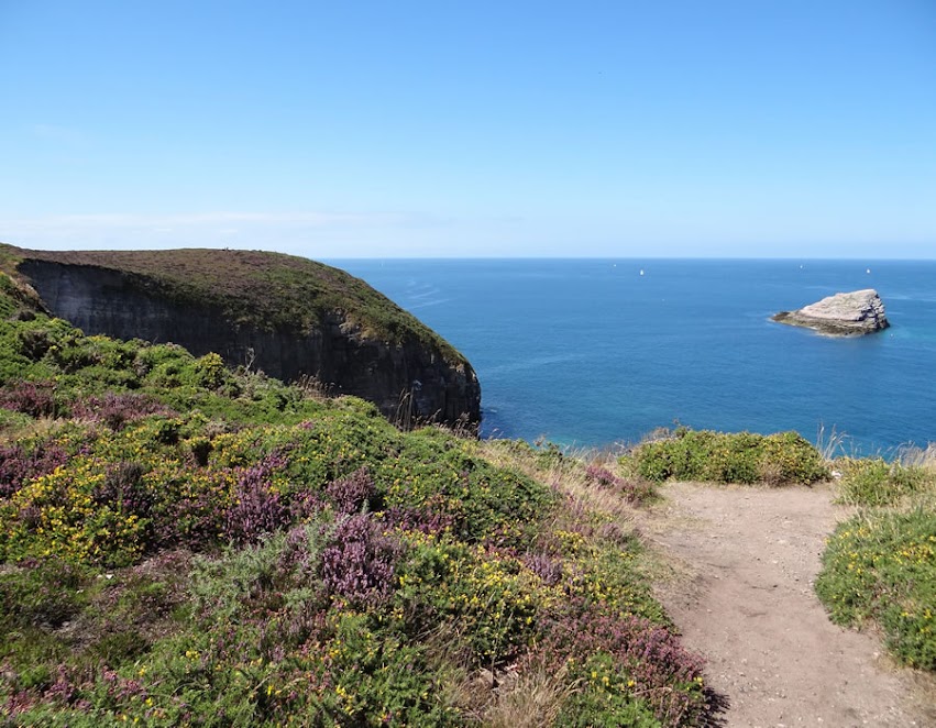 Le cap Fréhel par Bretagne-web.fr