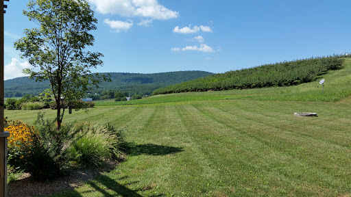 Vineyard «Catoctin Breeze Vineyard & Winery», reviews and photos, 15010 Roddy Rd, Thurmont, MD 21788, USA