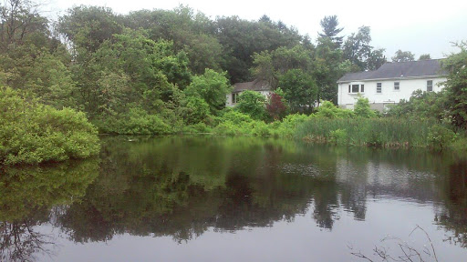 Nature Preserve «Dolan Pond Conservation Area», reviews and photos, Webster Park, West Newton, MA 02465, USA